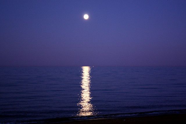 did anyone catch the moon on Saturday night? photo credit: flickr user william thomas via cc